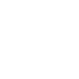 Simple Editor icon